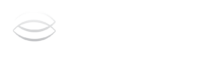 SeeFore Advisors Logo Seguridad e higiene